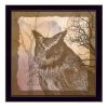 "Owl" By Barb Tourtillotte, Printed Wall Art, Ready To Hang Framed Poster, Black Frame