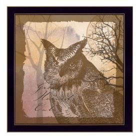 "Owl" By Barb Tourtillotte, Printed Wall Art, Ready To Hang Framed Poster, Black Frame