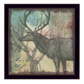"Deer" By Barb Tourtillotte, Printed Wall Art, Ready To Hang Framed Poster, Black Frame