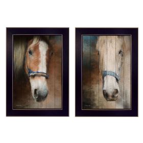 "Two Horses Collection" 2-Piece Vignette By Robin-Lee Vieira, Printed Wall Art, Ready To Hang Framed Poster, Black Frame