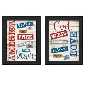 "American Collection" 2-Piece Vignette By Marla Rae, Printed Wall Art, Ready To Hang Framed Poster, Black Frame (Color: as Pic)